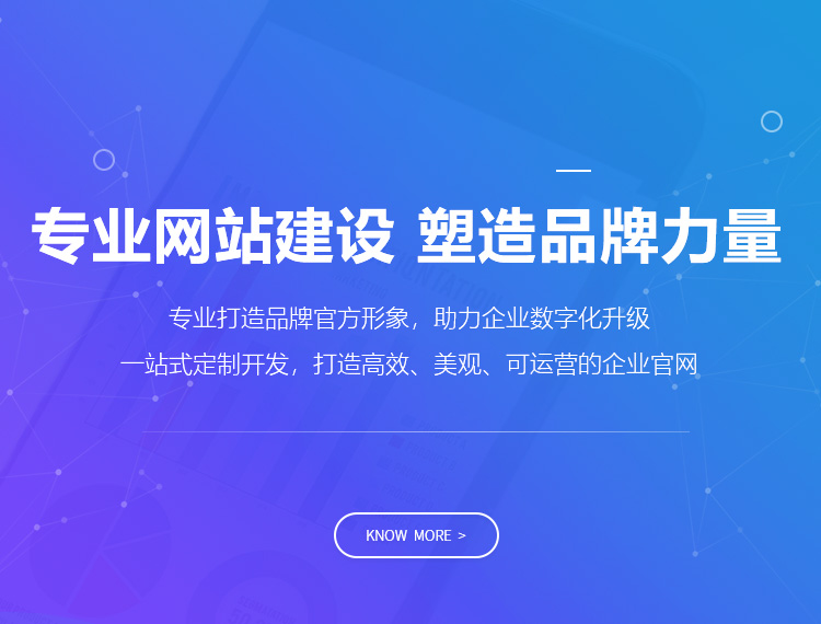 新余建站-专业网站建设 塑造品牌力量